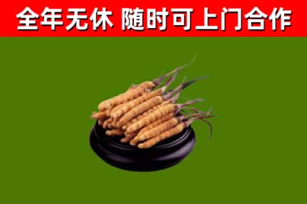 道真县烟酒回收冬虫夏草.jpg